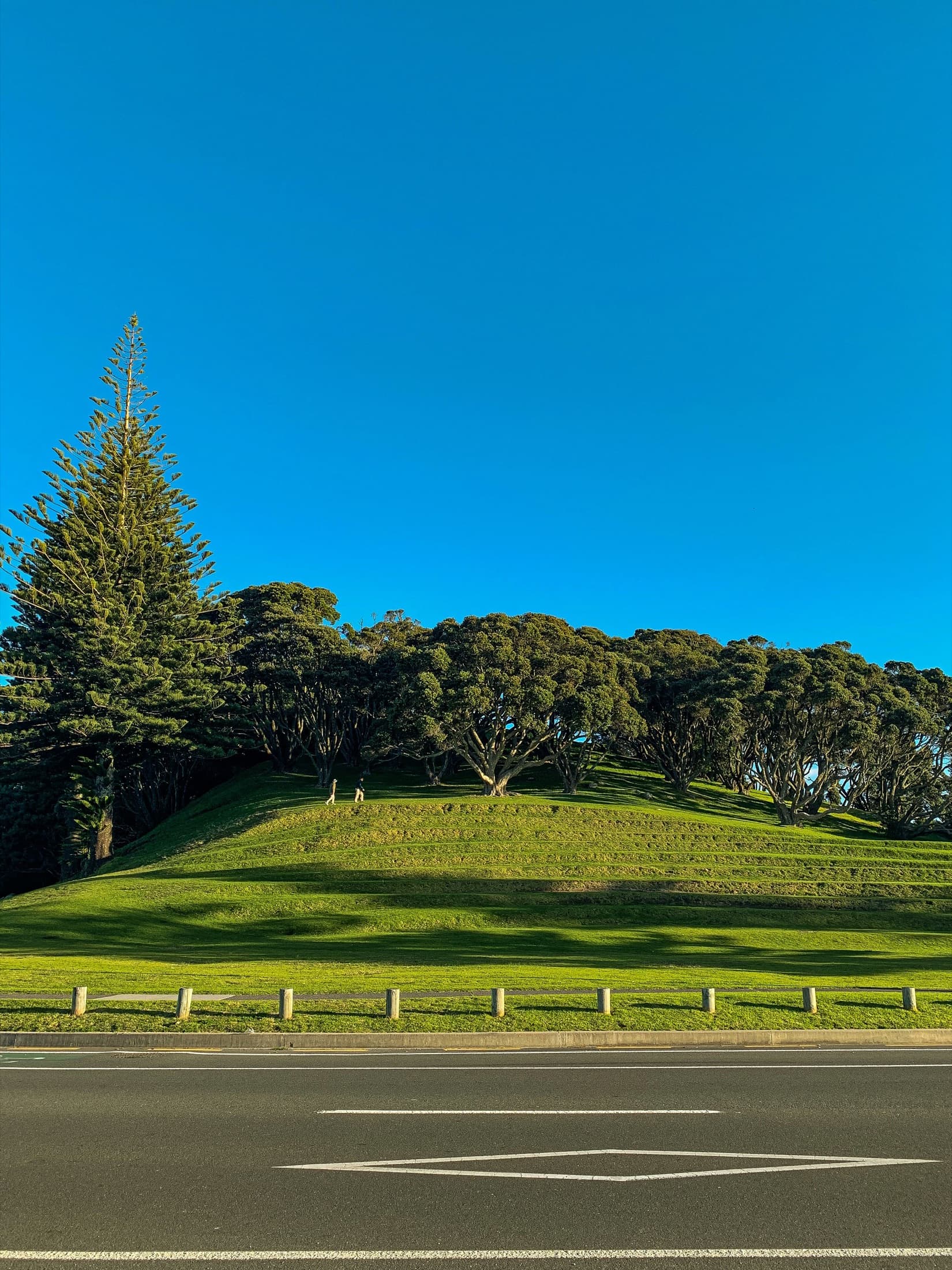 Colina verde com pinheiros e uma estrada em primeiro plano, sob céu azul